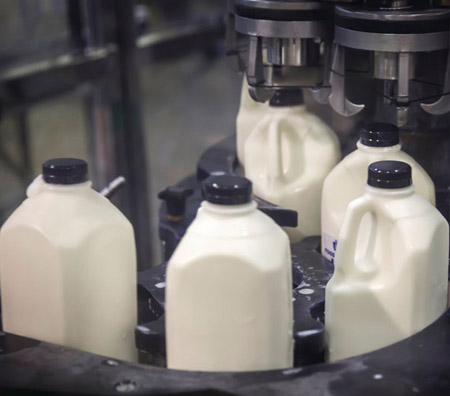 Dairy